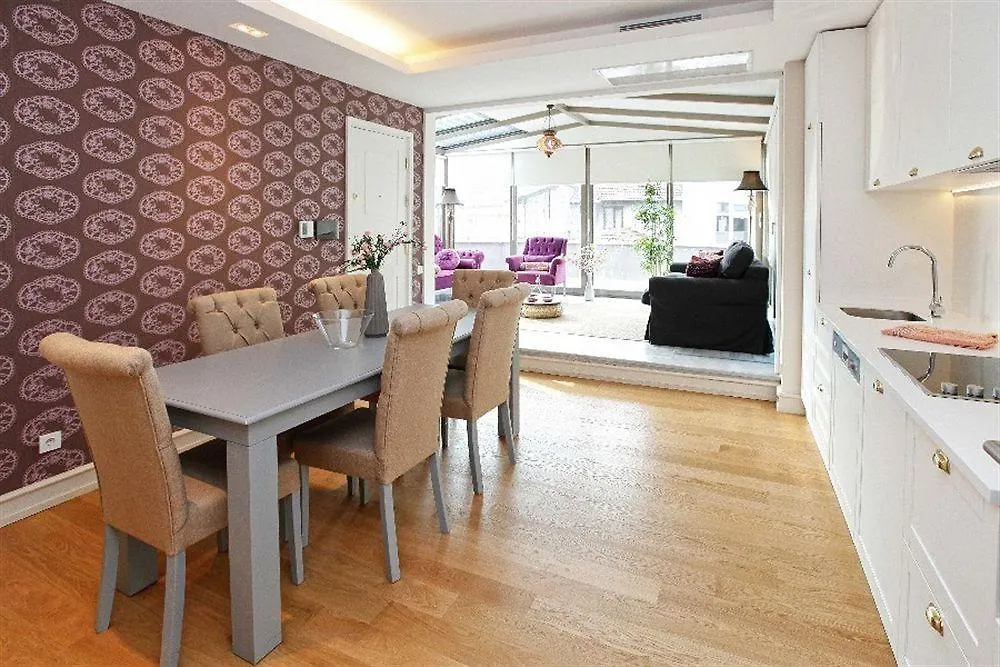 Galata Tower Vip Apartment Suites Istanbul Hotel