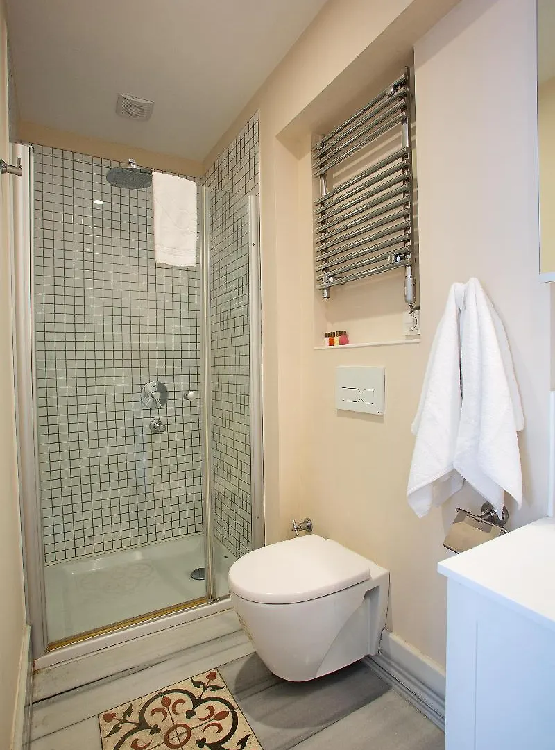 Galata Tower Vip Apartment Suites Istanbul Hotel